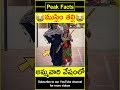 😯అమ్మవారి వేషంలో ముస్లిం😯 muslim lady with daughter factsintelugu amazingfacts peakfacts shorts