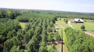 LandsofAmerica.com: 750 acres in Alabama