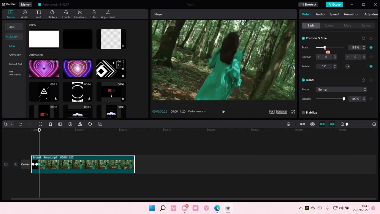 Capcut Animation Template