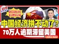 ⚠️回国航线 有增有减！中国经济拼不动了？70万人逾期滞留美国！《回国抢先看》 第152期Aug 10, 2024