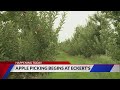 Apple picking season starts today at Eckert's Farm