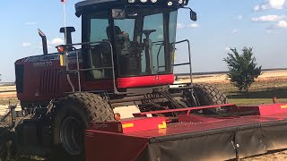 Haygrazer harvest 2019