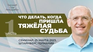 2023.03.25 — Что делать, когда пришла тяжёлая судьба (ч. №1). Торсунов О. Г. в Штайнберге, Германия