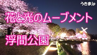 浮間公園 花と光のムーブメント2024　3月22日～4月21日