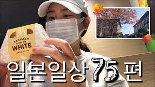 [한일자막]나혼자일본!- 맥날 삼각 초코파이+장보고 빨래개기+새벽수다 | 일본일상 75편 / [韓日字幕]日本で一人暮らし!-マック三角チョコパイ+買い物+夜中の雑談 | 日常75編