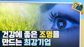 [핫클립] 조명이 건강과 밀접한 관련이 있다? / YTN 사이언스