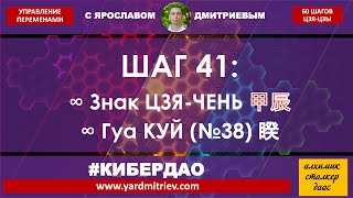 Кибердао. Круг 2. Шаг 41. Цзя-Чень. Гуа Куй (№38) Разлад (Дмитриев Я.)