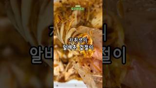 자취생도 쉽게 만드는 배추 겉절이