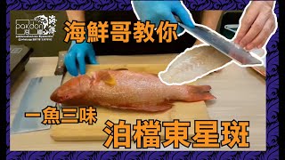 【泊檔煮意】東星斑三味