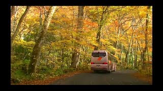 2019 紅葉の車泊旅 ⑨　奥入瀬渓流から十和田湖へ　豊かな紅葉の道