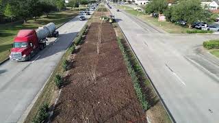 TxDOT Median Beautification Project Dec 2024 | League City