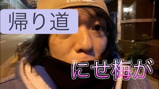 ひろしのつぶやき帰り道配信Vol.55にせ梅が😂😂#帰り道#ライブ配信#冬