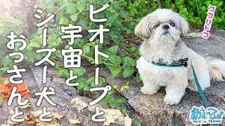 ビオトープと宇宙とシーズー犬とおっさんvlog.