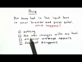 Entering Input - Web Development
