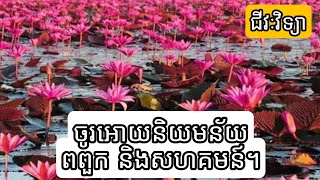 ចូរ​អោយនិយមន័យ ពពួកនិង​សហគមន៍​។  || My QandA