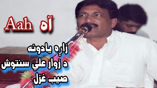 Lamba (لمبه ) Pashto New Ghazal by Zawar Ali Santosh / Pashto New Poetry by Naveed Jan / Dastar Tv