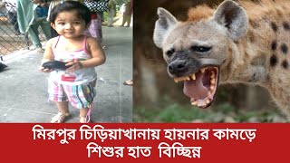 মিরপুরে চিড়িয়াখানায়  ২ বছরের বাচ্চার হাত ছিঁড়ে খেয়ে ফেলেছে হায়েনা