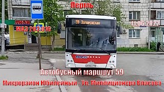 Пермь | Автобусный маршрут 59 | МАЗ 203.016 | Микрорайон Юбилейный - ул. Мил. Власова | 11.06.2022.