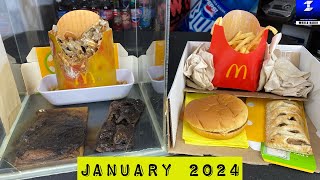 3 Year and 8 Month Old McDonald’s Food