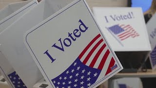 The Texas Politics Project discusses ballot privacy concerns
