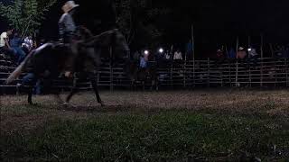 Jaripeo ranchero celebrado en la lima Ixc, Ver 2019