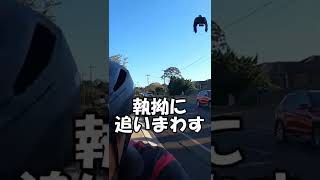 Magpie attack in Australia 人を攻撃するオーストラリアの鳥にご注意を！ #shorts #鳥 #マグパイ #magpie attack