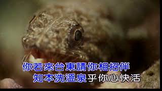 來去台東~沈文程~男F調~伴奏~導唱3顆~金嗓(丙)