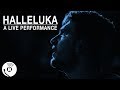 Halleluka: An Ode to Luka Doncic (Music Video) | The Ringer