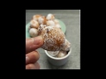 Frittelle allo yogurt e limone - pronte in meno di 10 minuti