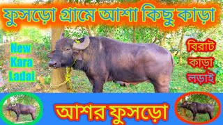 ফুসড়ো গ্রামে আশা কিছু কাড়া\\কাড়া লড়াই ফুসড়ো|New kara ladai Pusro