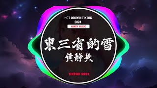 🆕2024最火歌曲DJ Remix 抖音版 / 最佳Tik Tok: 东三省的雪 - 黄静美/一句先苦后甜 - 侯泽润/ 火红的萨曰朗 - 豆包 ...💝Chinese Dj Remix 2024