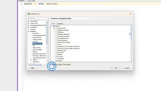 #sqldeveloper #oracle DB Navigation Filter