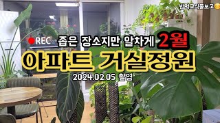 아파트 거실정원 구경 🏡🌿🌿🩷 초록이 수다🌿식물들과 함께 살고있는 저희집 거실 오픈!😊 🌿소소한 가드닝팁 공유! *좋아요는 큰 힘이 됩니다*