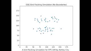 Bird Flocking Simulation (2)