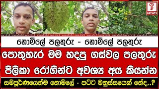 පොතුහැර මම හදපු ගස්වල පලතුරු පිලිකා රෝගින්ට අවශ්‍ය අය කියන්න