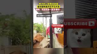 男子好心投喂流浪猫，看到猫咪离开忍不住大笑，猫：讨点东西吃真不容易#萌宠 #搞笑 #动物 #猫