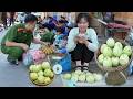 Harvest pears to sell, feed pets and collect luffa seeds