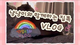 🌈동화𝑉𝑙𝑜𝑔 | 저희집 냥냥이를 소개합니다 😉 집콕브이로그