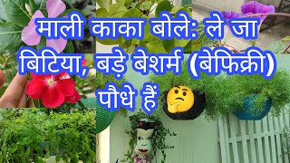 25+ ऐसे पौधे जो तेजी से बढ़ते हैं/Plants that grow very fast/Permanent plants /indoor, outdoor plant