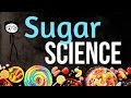 Download What Does Sugar Do To Your Body? 10 Proven Negative Effects of Sugar In Mp4 3Gp Full HD Video