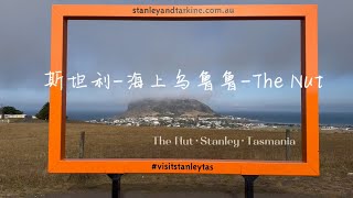 澳洲塔斯马尼亚游记 - Stanley TAS, Australia