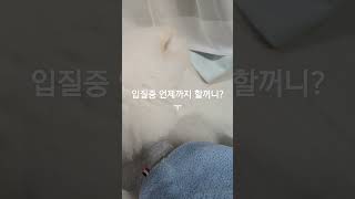 내가 집에서 양말신고 다니는이유ㅜㅜ#shorts