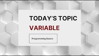 Understanding Variables in Python | 2-Minute School