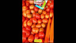 AKSHAY SEEDS TOMATO GAUTAM