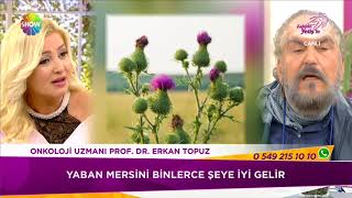 Elma ve Yaban mersini ve Deve Dikeni sütü Hangi kanserler faydali Prof Dr Erkan Topuz