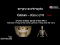 הסבר בסיסי על אלקטרוליטים