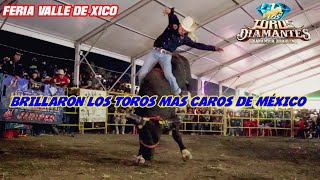 VALLE DE XICO SE PRENDIÓ CON TREMENDO JARIPEO LLEGARON LOS TOROS MÁS CAROS DE MÉXICO LOS DIAMANTES