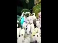 كيف سيكون لقاء الله عز وجل الحجر الاسود تدافع ربي ادخلنا الجنه من غير حساب ولا عقاب يارب 🕋🕋🕋