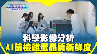 《科技島的奇蹟》科學影像分析　AI篩檢雞蛋品質新鮮度