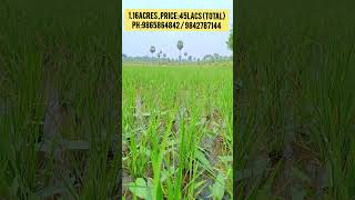 45 லட்சத்தில் ஈரோடு அருகே நல்ல தண்ணீர் வசதியுடன்  1.16 Acres  விவசாய பூமி விற்பனைக்கு /9842787144